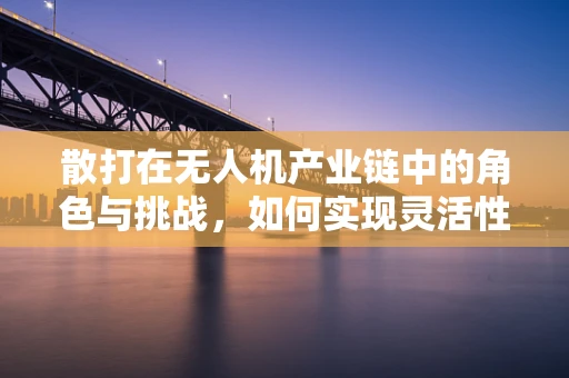 散打在无人机产业链中的角色与挑战，如何实现灵活性与效率的平衡？