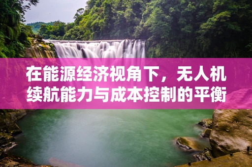 在能源经济视角下，无人机续航能力与成本控制的平衡点何在？