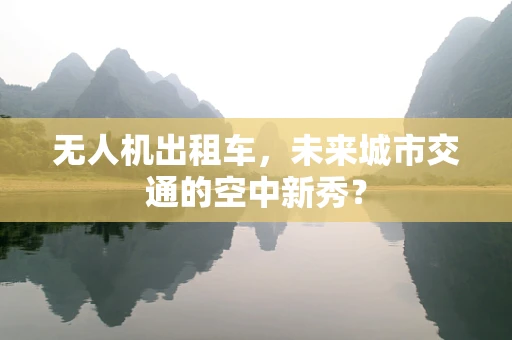 无人机出租车，未来城市交通的空中新秀？