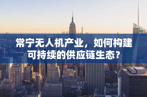 常宁无人机产业，如何构建可持续的供应链生态？