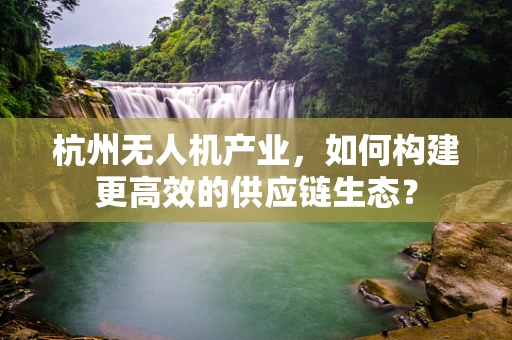 杭州无人机产业，如何构建更高效的供应链生态？