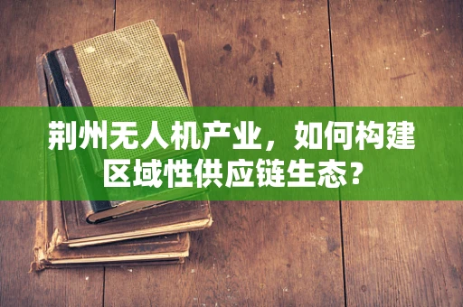 荆州无人机产业，如何构建区域性供应链生态？