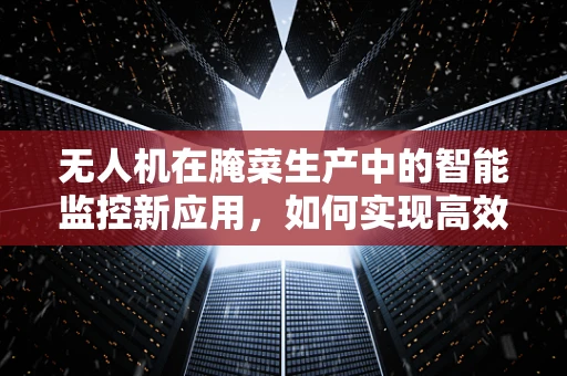 无人机在腌菜生产中的智能监控新应用，如何实现高效、无损检测？