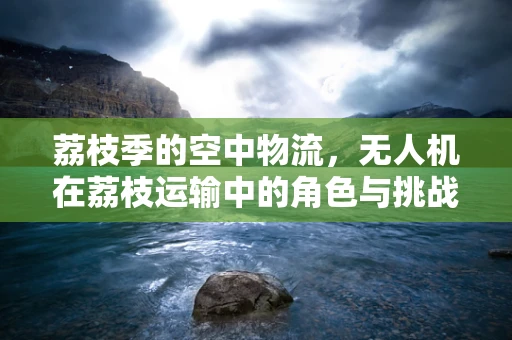 荔枝季的空中物流，无人机在荔枝运输中的角色与挑战