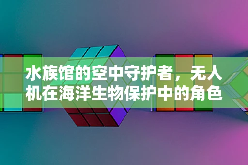 水族馆的空中守护者，无人机在海洋生物保护中的角色