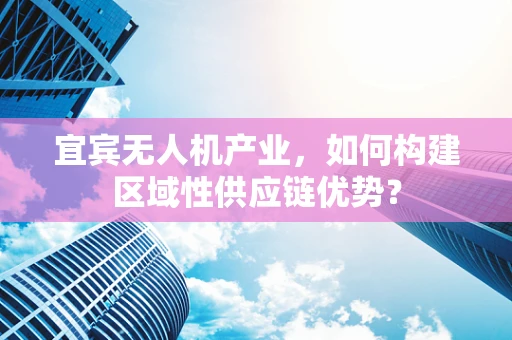 宜宾无人机产业，如何构建区域性供应链优势？