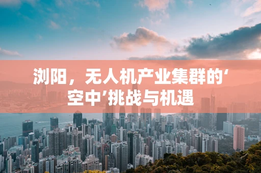 浏阳，无人机产业集群的‘空中’挑战与机遇