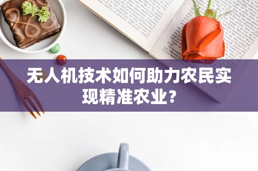 无人机技术如何助力农民实现精准农业？