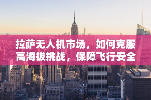 拉萨无人机市场，如何克服高海拔挑战，保障飞行安全？