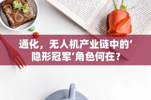 通化，无人机产业链中的‘隐形冠军’角色何在？