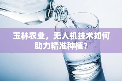 玉林农业，无人机技术如何助力精准种植？