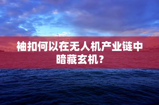 袖扣何以在无人机产业链中暗藏玄机？