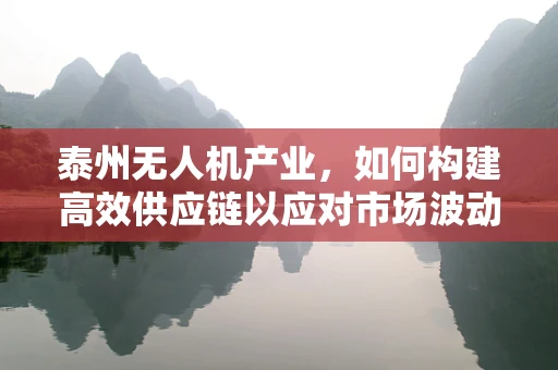 泰州无人机产业，如何构建高效供应链以应对市场波动？