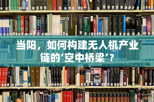 当阳，如何构建无人机产业链的‘空中桥梁’？