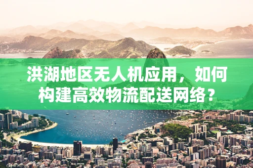 洪湖地区无人机应用，如何构建高效物流配送网络？