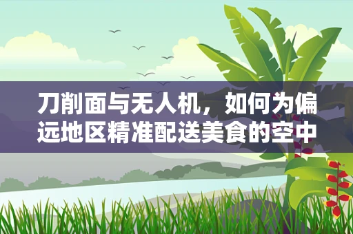 刀削面与无人机，如何为偏远地区精准配送美食的空中物流新思路？