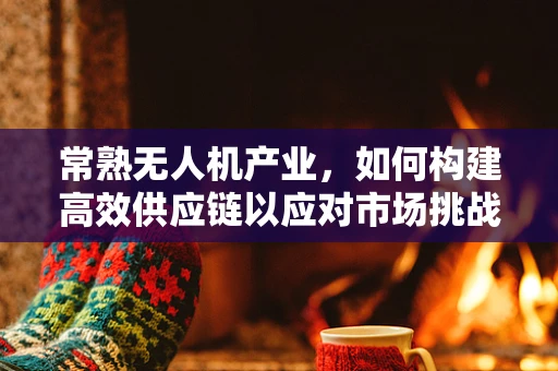 常熟无人机产业，如何构建高效供应链以应对市场挑战？