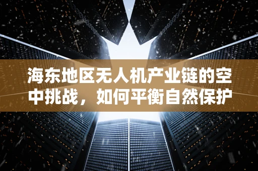 海东地区无人机产业链的空中挑战，如何平衡自然保护与经济发展？