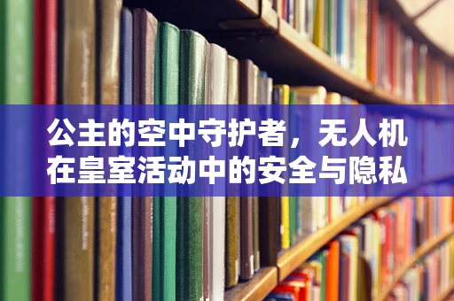 公主的空中守护者，无人机在皇室活动中的安全与隐私保护