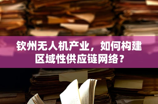 钦州无人机产业，如何构建区域性供应链网络？