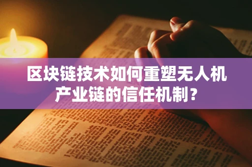 区块链技术如何重塑无人机产业链的信任机制？