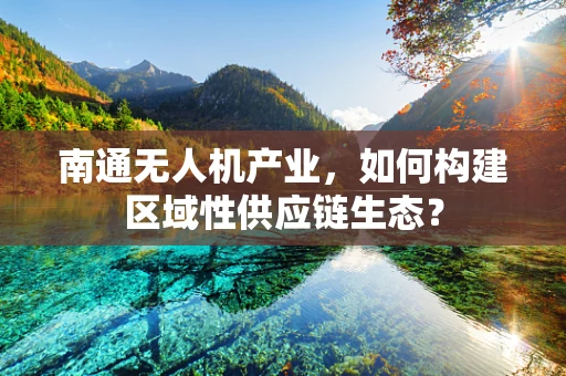 南通无人机产业，如何构建区域性供应链生态？