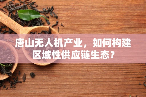 唐山无人机产业，如何构建区域性供应链生态？