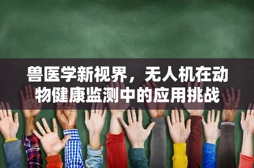 兽医学新视界，无人机在动物健康监测中的应用挑战