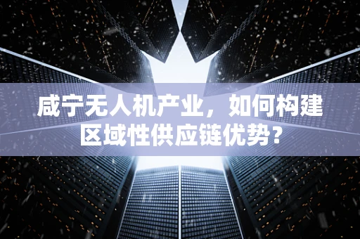 咸宁无人机产业，如何构建区域性供应链优势？