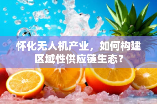 怀化无人机产业，如何构建区域性供应链生态？