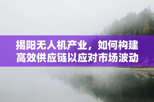 揭阳无人机产业，如何构建高效供应链以应对市场波动？