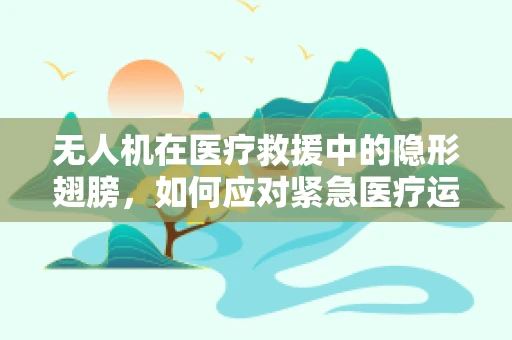 无人机在医疗救援中的隐形翅膀，如何应对紧急医疗运输中的支气管肺炎风险？