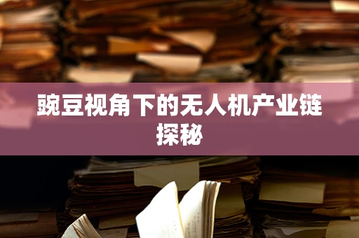 豌豆视角下的无人机产业链探秘