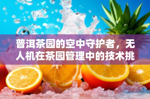 普洱茶园的空中守护者，无人机在茶园管理中的技术挑战与解决方案