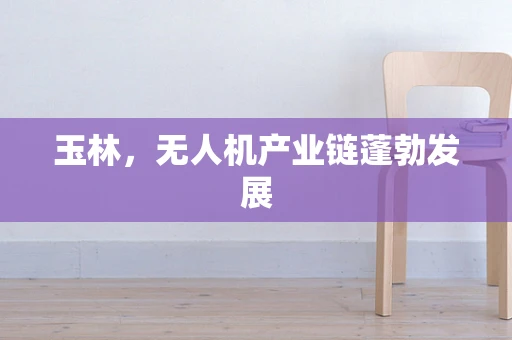 玉林，无人机产业链蓬勃发展