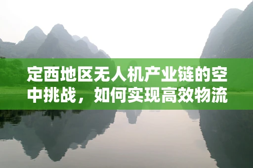 定西地区无人机产业链的空中挑战，如何实现高效物流与精准农业的融合？