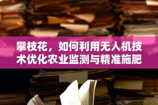 攀枝花，如何利用无人机技术优化农业监测与精准施肥？