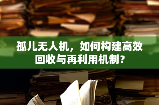 孤儿无人机，如何构建高效回收与再利用机制？