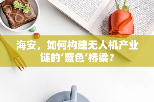 海安，如何构建无人机产业链的‘蓝色’桥梁？