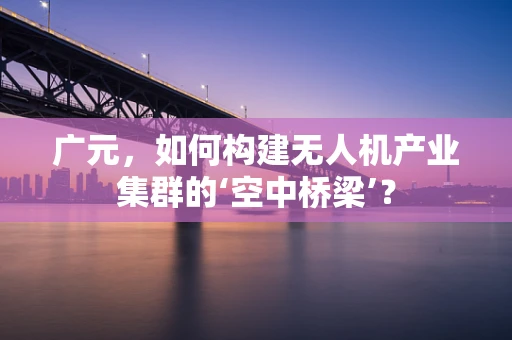 广元，如何构建无人机产业集群的‘空中桥梁’？