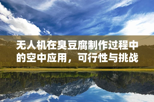 无人机在臭豆腐制作过程中的空中应用，可行性与挑战？