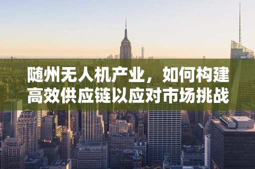 随州无人机产业，如何构建高效供应链以应对市场挑战？