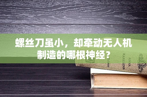 螺丝刀虽小，却牵动无人机制造的哪根神经？