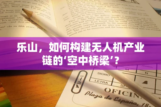 乐山，如何构建无人机产业链的‘空中桥梁’？